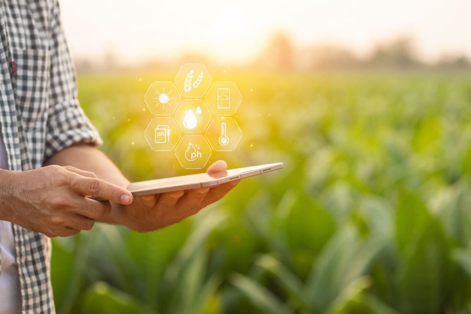 Ag Tech Transformation: How Mid-Market Farms Unlock Value Beyond Just Cost Savings