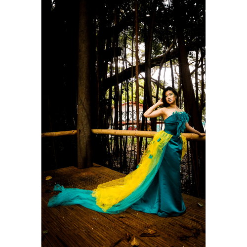 Elegant and Fun Organza Dresses