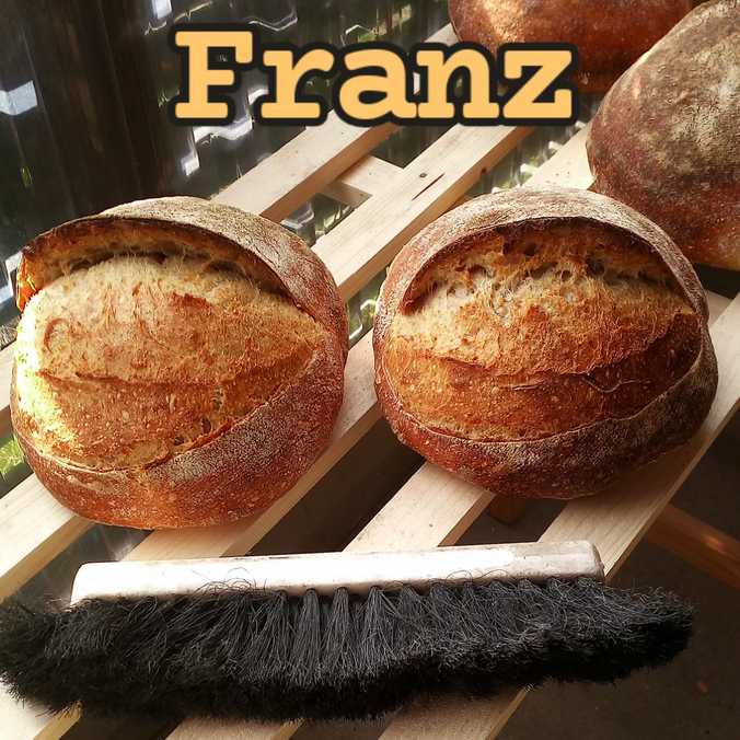 Franz