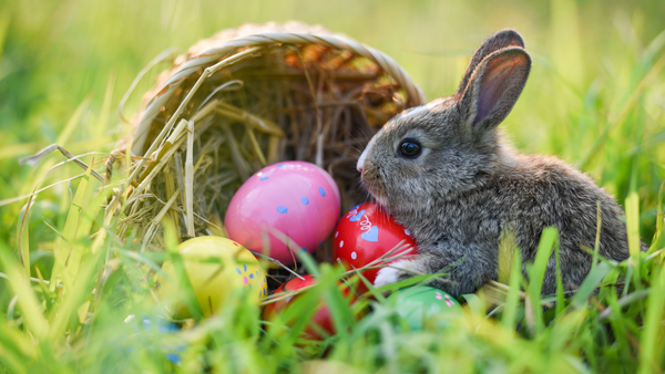 Hody, hody, doprovody -  jarní aktivity do vašich lekcí