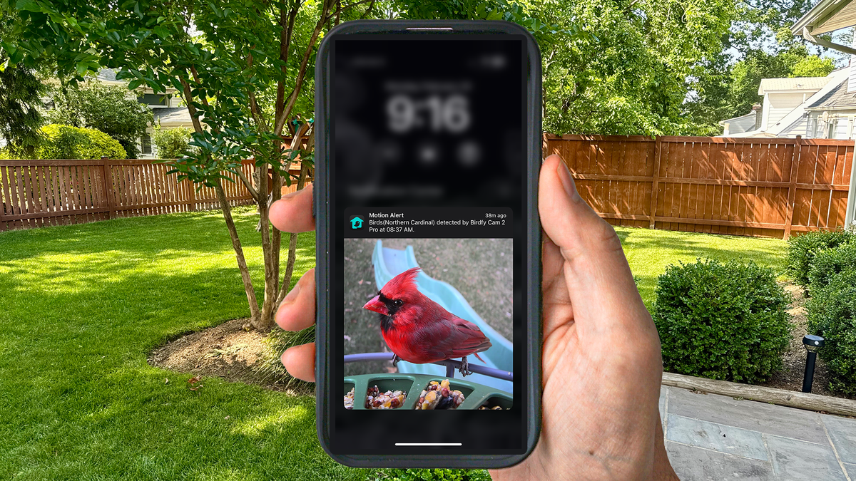 I Didn’t Care About Birds… Until I Tried THIS Smart Feeder 🐦📷