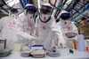 Ebola in Congo e Uganda, Oms: rischio basso per l'Europa