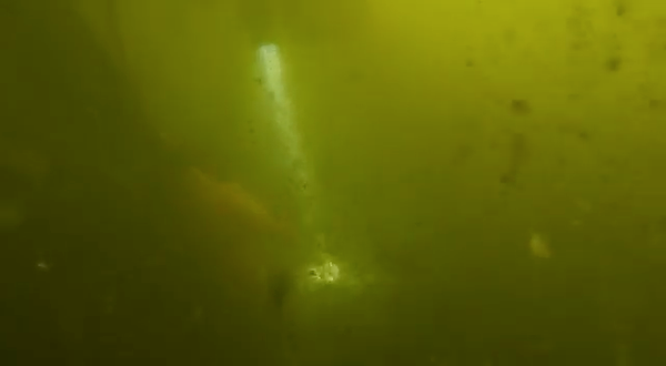 El Mar Menor avisó: la zona central empezó a quedarse a oscuras el 19 de julio