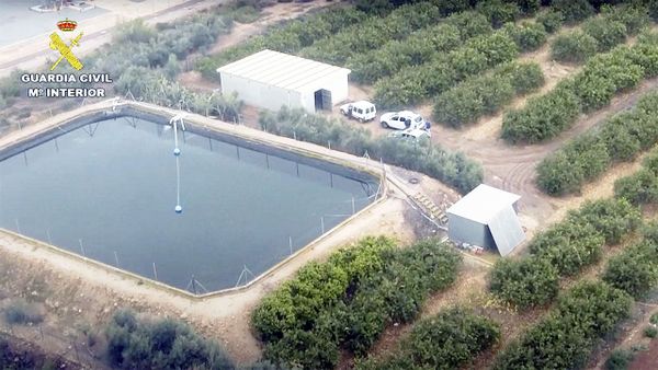 El juez muestra que empresas agrícolas aceleraron los vertidos al Mar Menor a pesar de la 'sopa verde'
