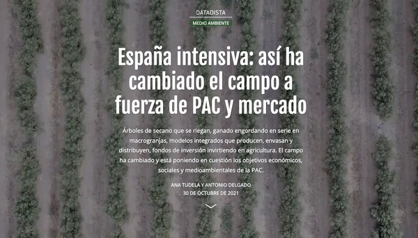 La investigación de DATADISTA 'España intensiva', mención especial en los Premios Ortega y Gasset 2022