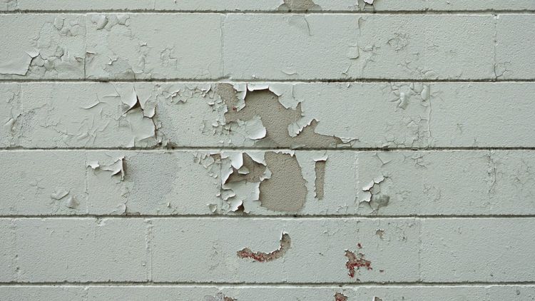 The Myth of the Blank Slate