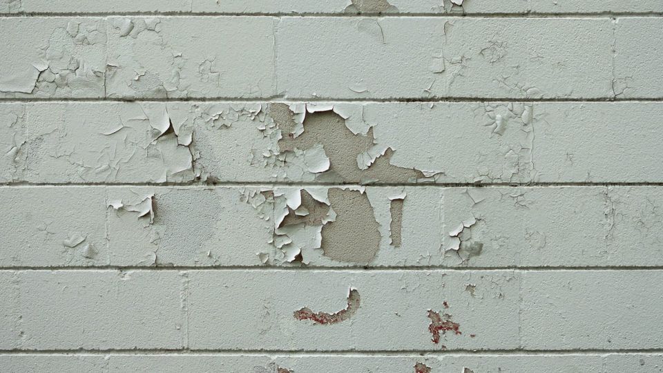 The Myth of the Blank Slate