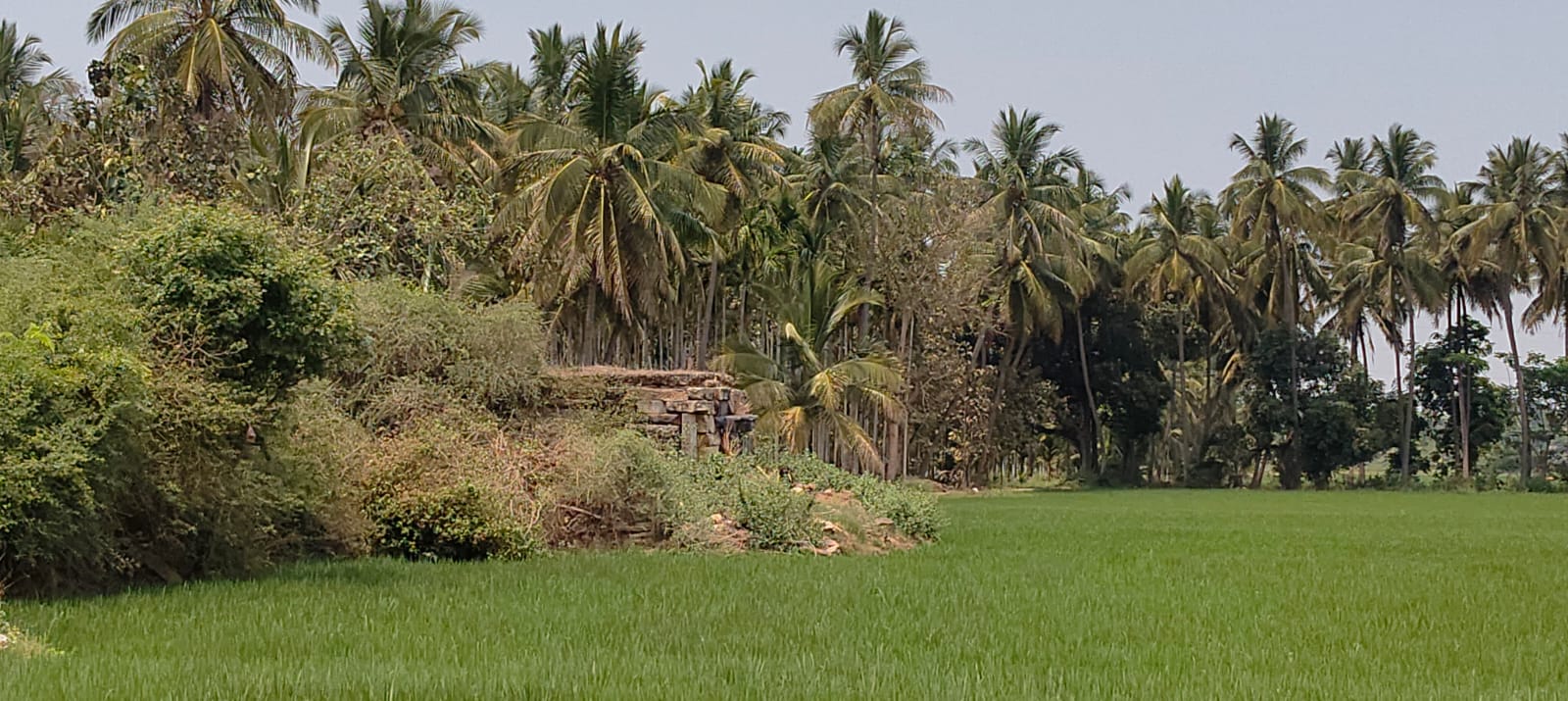 Kalleshwara Temple