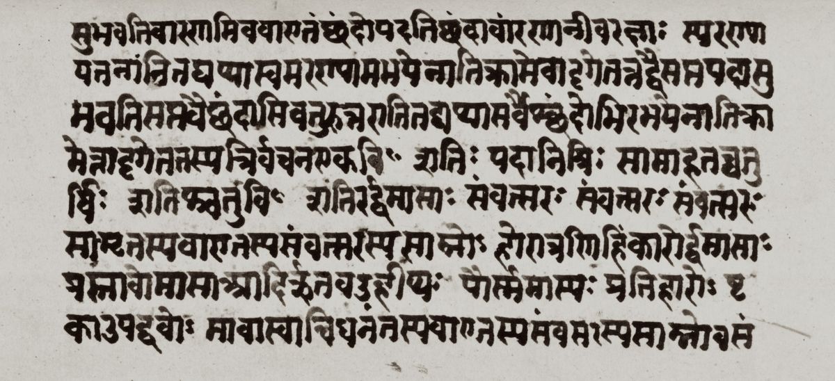The Nectar of the Veda: The Equanimity of Sri Sheshanna Shrauti