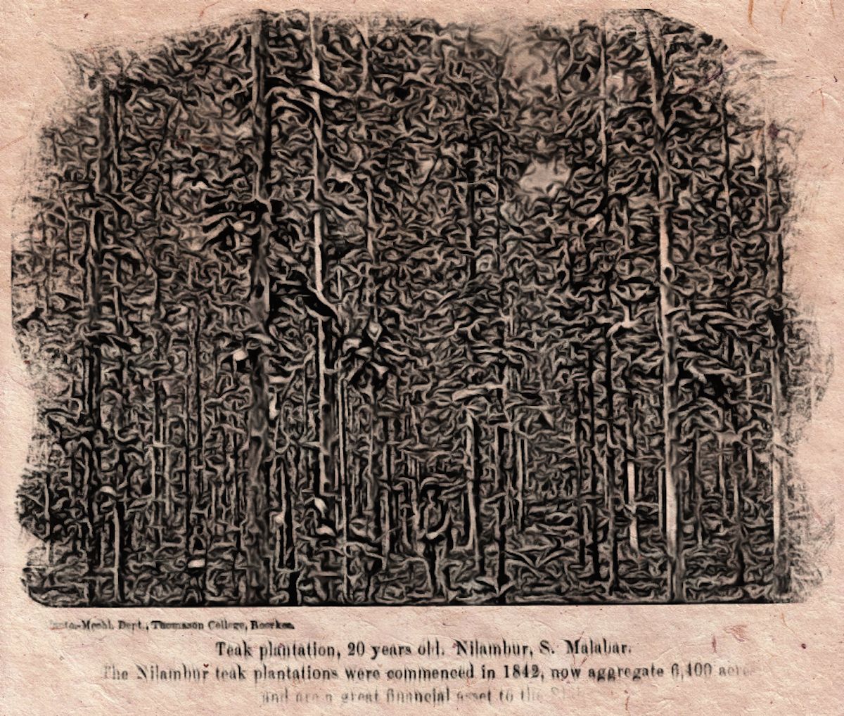 The Gruesome Murder of Mr. Conolly: The Mapilla Retribution