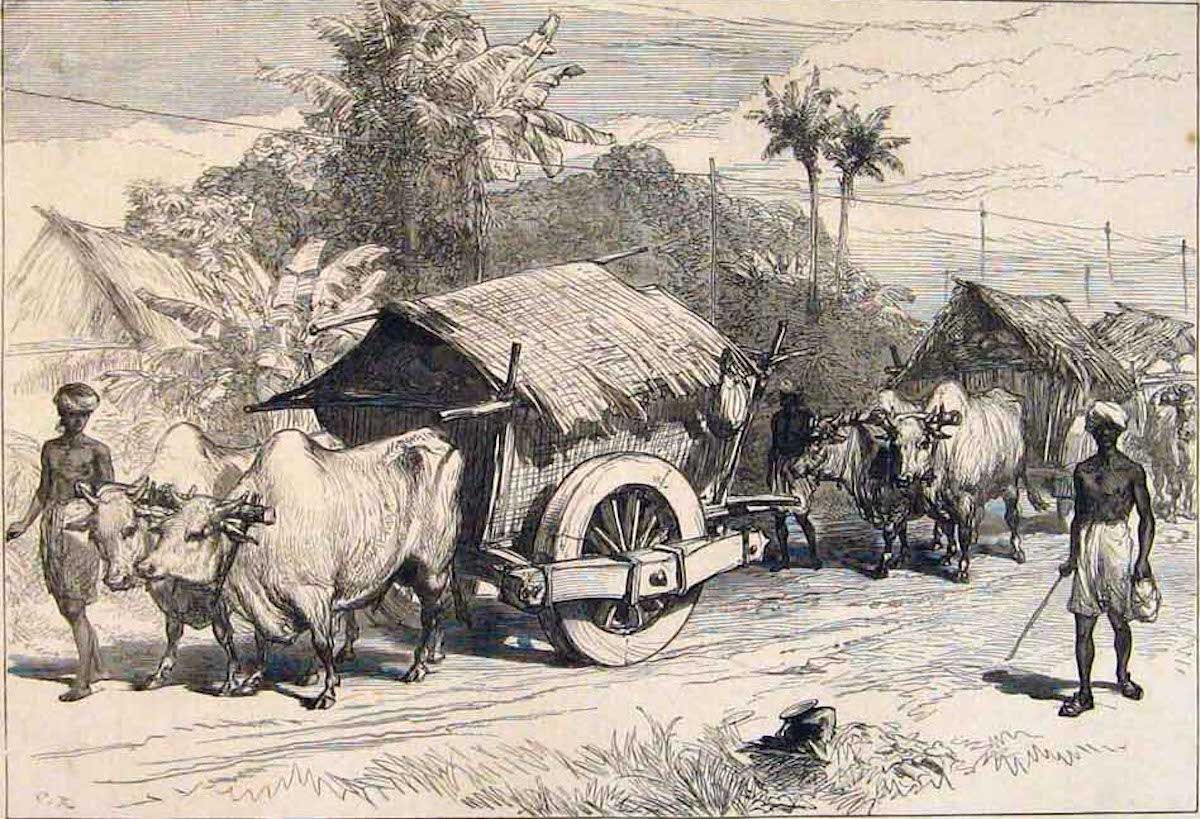 A Colonial British Surgeon’s India Diary: Circa 1891