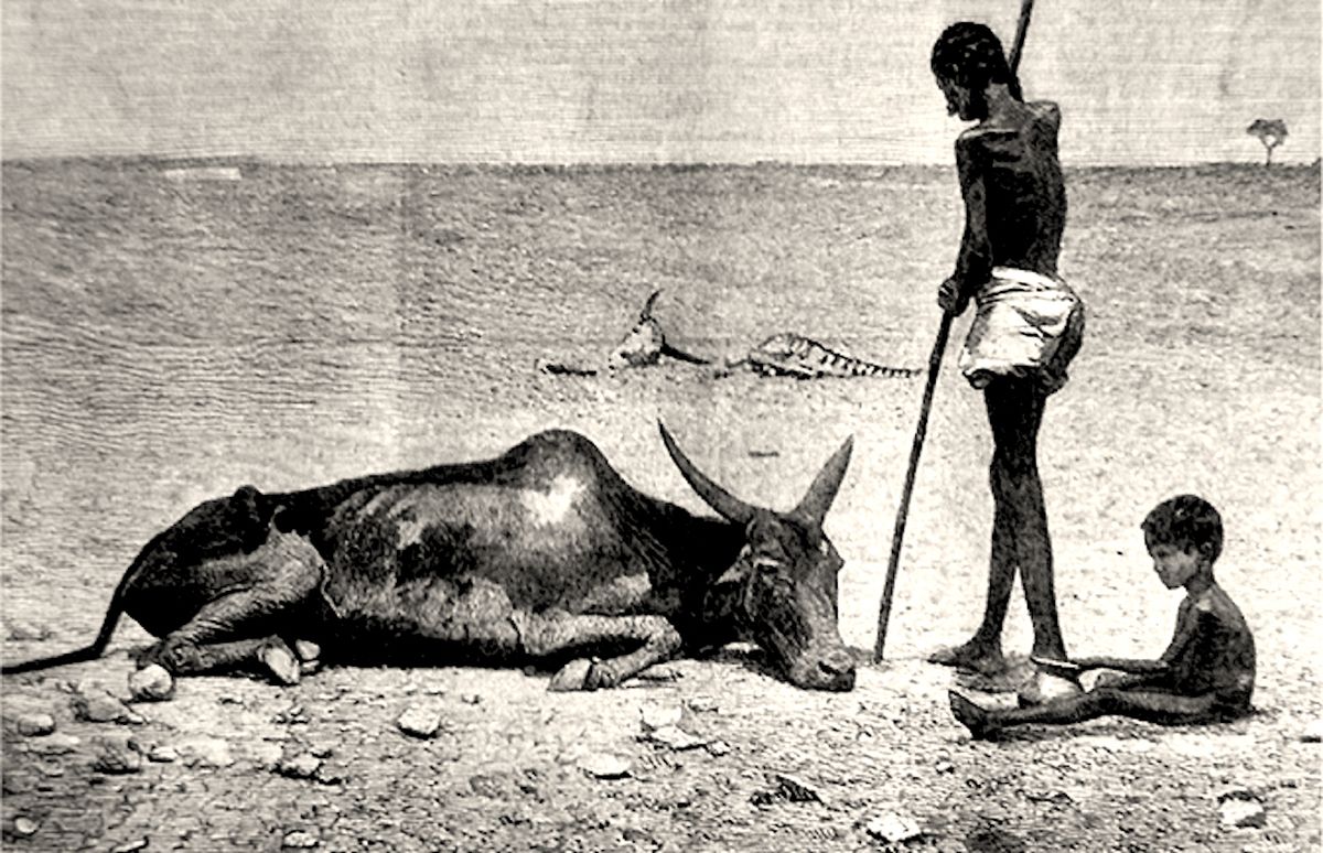 When Act No. XXXII of 1860 Birthed the Ballad of Gurusiddha of Hubballi