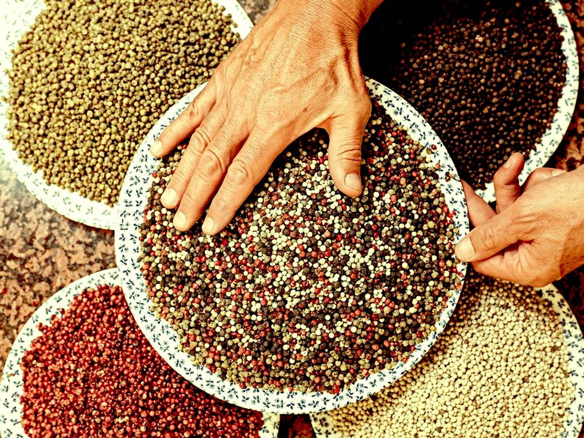 The History of how Bharatavarsha’s Pepper Decided the Fortunes of European Empires and Nations