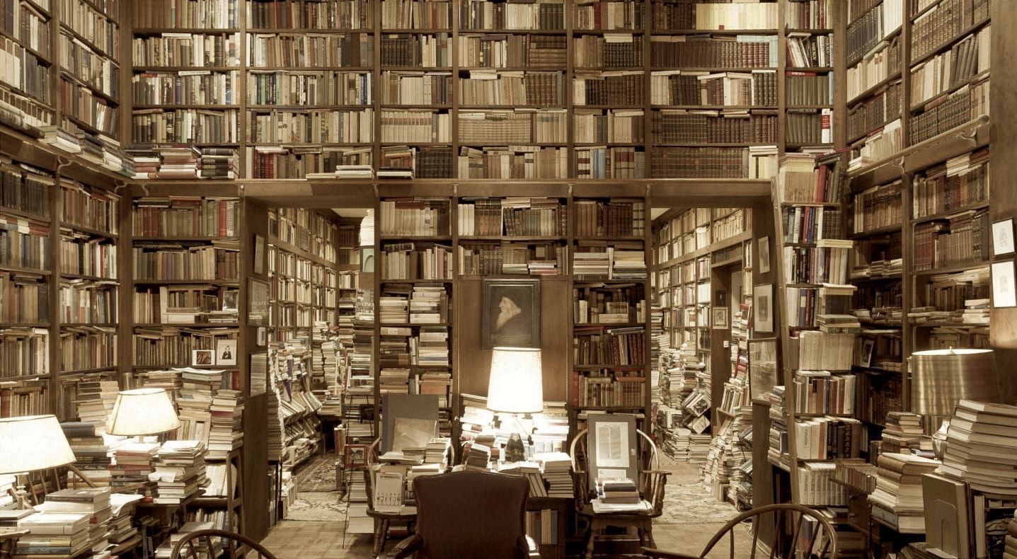 The Dharma Dispatch Reading List to Kickstart Your 2019