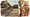 Excavating the Eminent Distorians: A Secularist Holocaust Memorial Museum at Ayodhya 