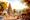 The Tirupati Town that V.N. Narasimha Iyengar Saw in 1872 