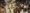 An Avadhoota from Old Bangalore: Swami Mahadeva Sastri