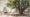 A Portrait of Hindu Village Administration and Jurisprudence