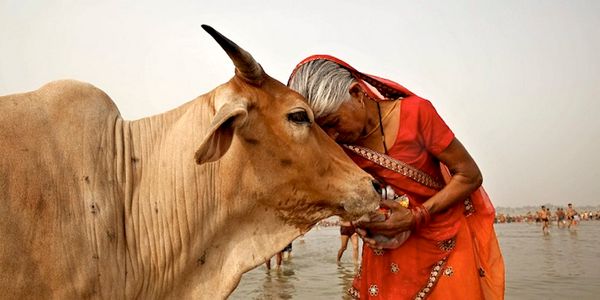In Search of the Dangerous Hindu in a World of Monotheistic Cultural Aggression