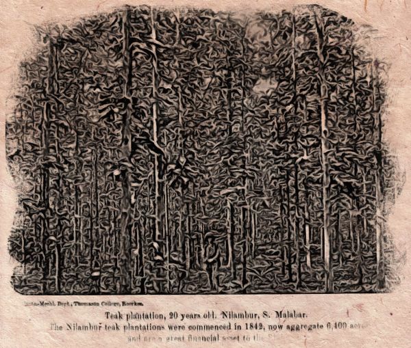 The Gruesome Murder of Mr. Conolly: The Mapilla Retribution
