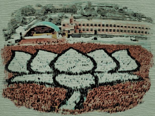 Tamil Nadu is Ripe for the BJP to Bury the Dravidian Debris 