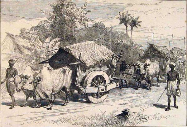 A Colonial British Surgeon’s India Diary: Circa 1891