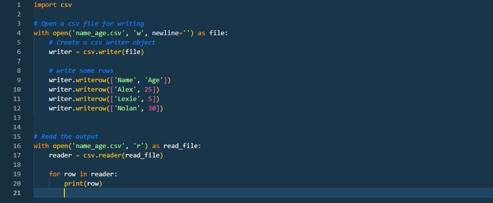 Blog-31--csv_writer-code