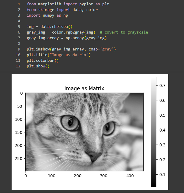 Blog 91- Cat Image as Matrix.png