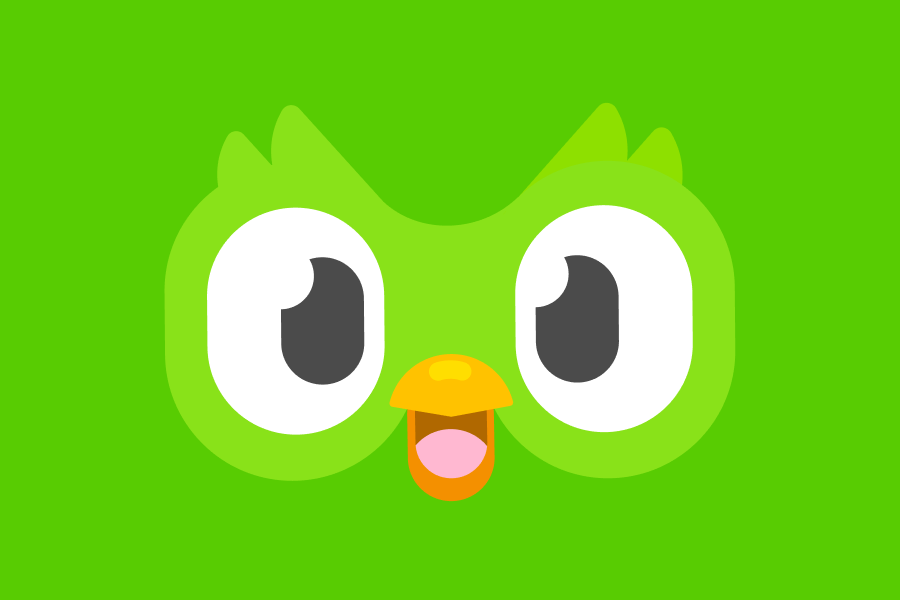 Zoomed-in illustration of Duo the owl's eyes and open beak, which makes him look excited