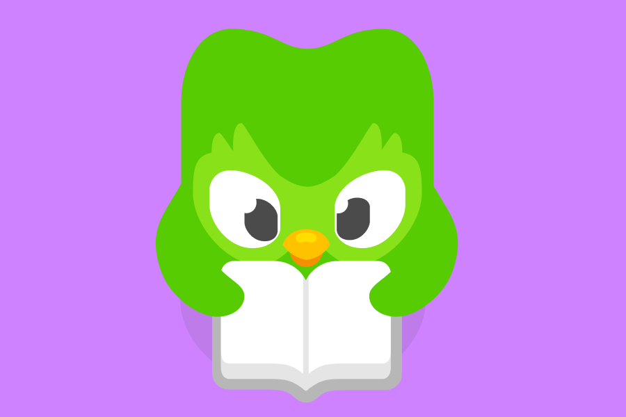Illustration of Duo the owl sitting and reading a book