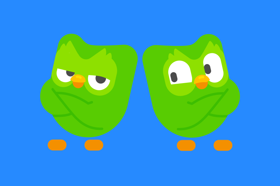 Illustration of two images of Duo the owl, one looking unbothered and the other looking unsettled by the mirror image