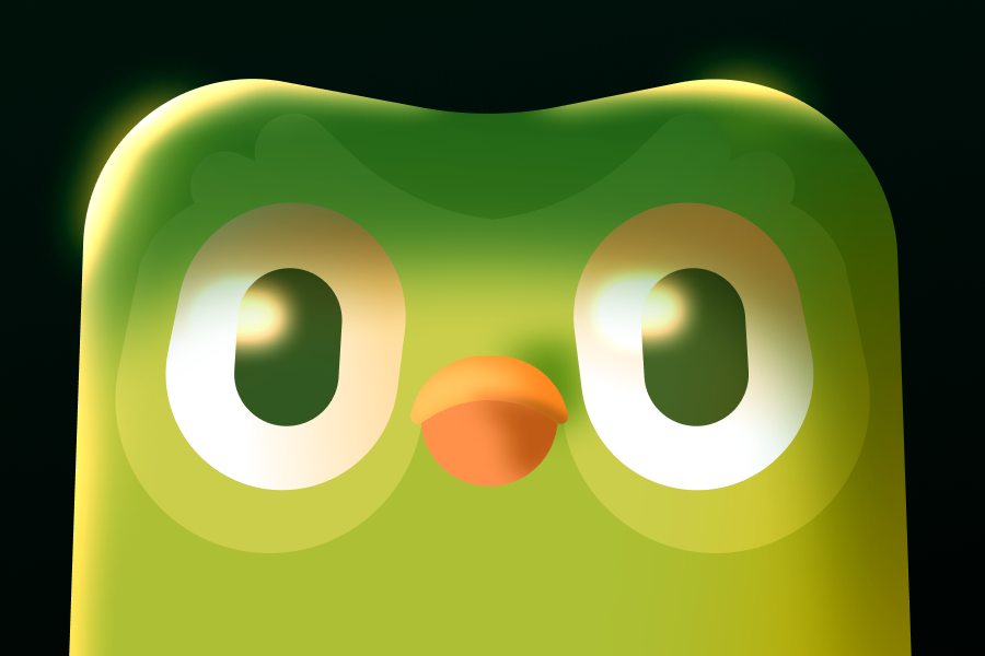 Close up of Duo the owl's head, looming large and serious