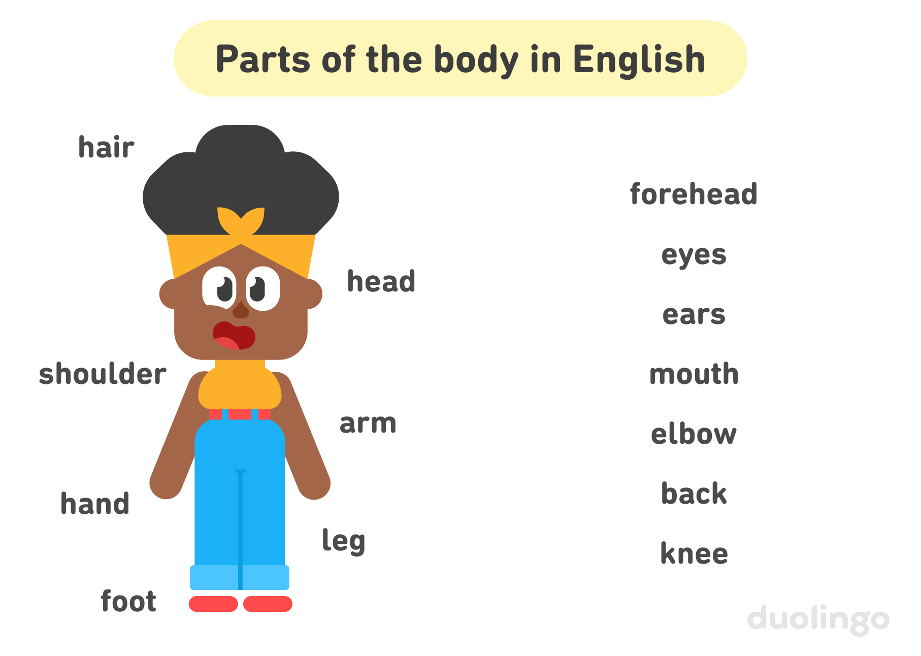 On the left, an illustration of Bea smiling and standing upright with the following body parts labeled around her: “hair,” “shoulder,” “hand,” “foot,” “leg,” “arm,” and “head.” On the right, the following body part words are presented as a list: “forehead,” “eyes,” “ears,” “mouth,” “elbow,” “back,” and “knee.” The top of the image says “Parts of the body in English.”