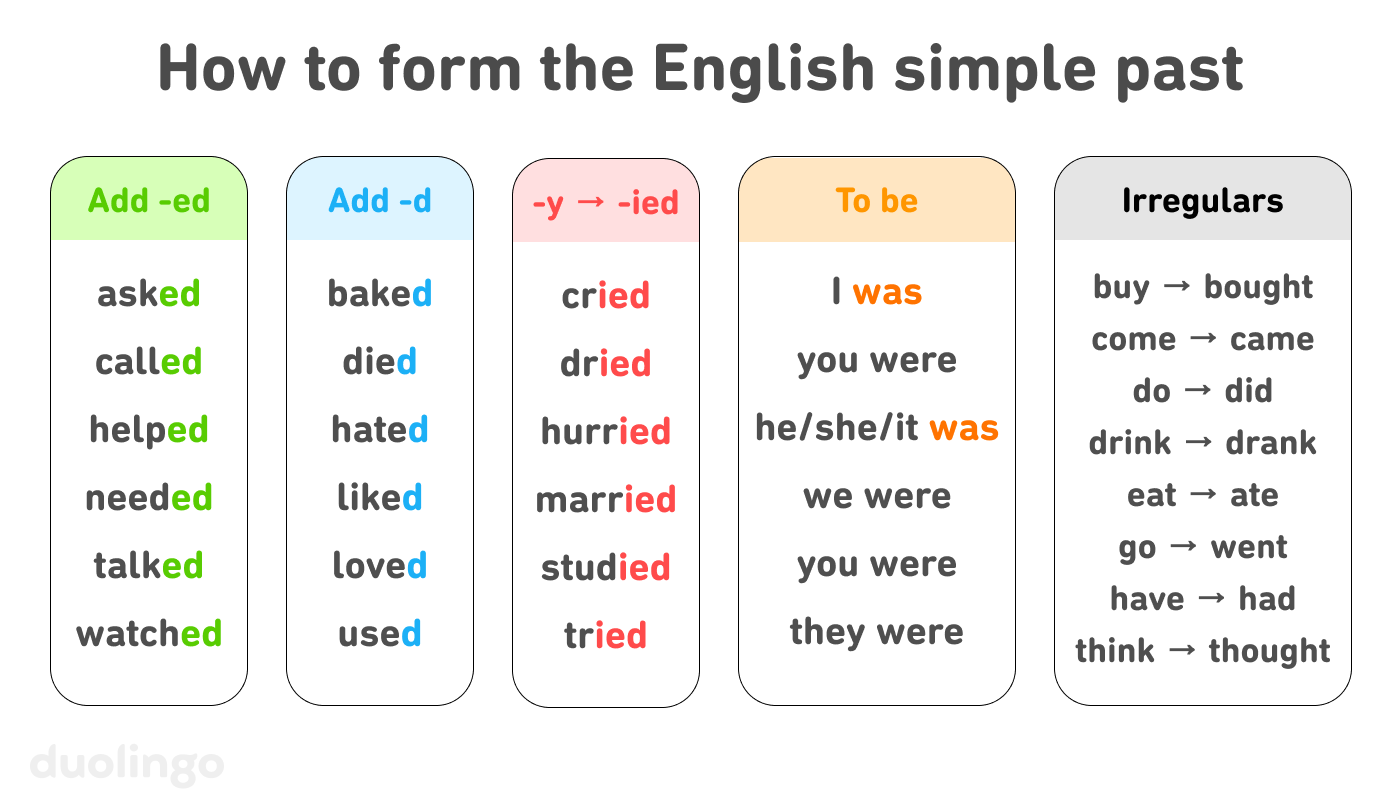 Chart of 5 ways to form the English simple past. First is by adding -ed, as in asked, called, helped, needed, talked, and watched. Second is by adding only -d, as in baked, died, hated, liked, loved, and used. Third is by changing the last -y to an -i- and adding -ed, as in cried, dried, hurried, married, studied, and tried. Fourth is the forms of to be: I was, you were, he/she/it was, we were, you were, and they were. Fifth is the irregular verbs, including bought, came, did, drank, ate, went, had, and thought.