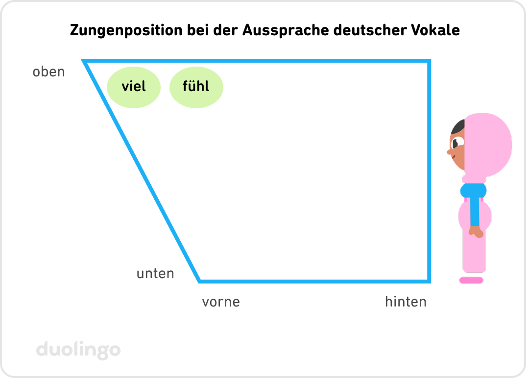 Ein Trapez mit parallelen Ober- und Unterseiten veranschaulicht die Zungenposition bei der Aussprache deutscher Vokale. Die Unterseite des Trapezes ist kürzer als die obere Seite, was die Form des Mundes darstellen soll: links befindet sich der vordere Teil des Mundes und rechts der hintere Teil. Sari steht rechts neben dem Diagramm und blickt zur Vorderseite des „Mundes“. Oben links innerhalb des Trapezes sind zwei grüne Punkte abgebildet: einer mit der Beschriftung „viel“ und ein weiterer direkt rechts daneben mit der Beschriftung „fühl“.