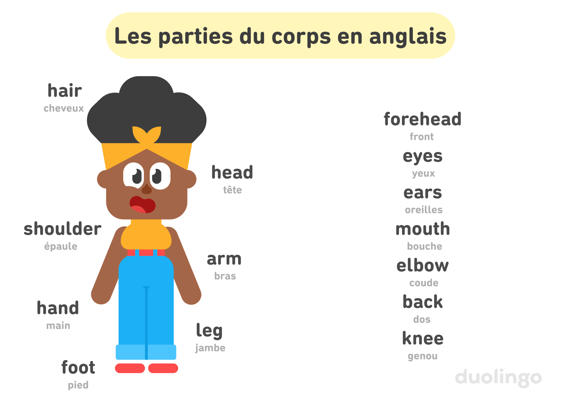 À gauche de l’image, Béa est debout et sourit. Les parties du corps suivantes sont indiquées : « hair » (cheveux), shoulder (épaule), « hand » (main), « foot » (pied), « head » (tête), « arm » (bras) et « leg » (jambe). À droite, les mots suivants apparaissent sous forme de liste : « forehead » (front), « eyes » (yeux), « ears » (oreilles), « mouth » (bouche), « elbow » (coude), « back » (dos) et « knee » (genou). En haut de l'image, il est écrit : « Les parties du corps en anglais ».