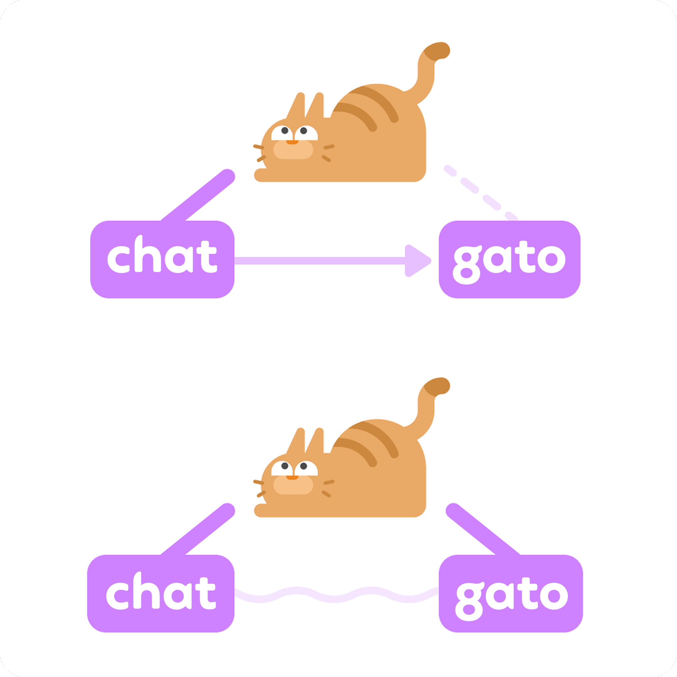 En haut de l’image, on peut voir un chat au-dessus de deux mots : « chat » à gauche, relié à l'illustration du chat par un trait plein coloré, et « gato » à droite, relié à la même illustration par une ligne pointillée estompée. Une flèche estompée part du mot « chat » et va jusqu’au mot « gato ». En dessous, on retrouve le même chat avec les mêmes mots « chat » et « gato » en dessous. Cette fois, chaque mot est relié au chat par un trait plein coloré. Une ligne ondulée et estompée relie les deux mots.