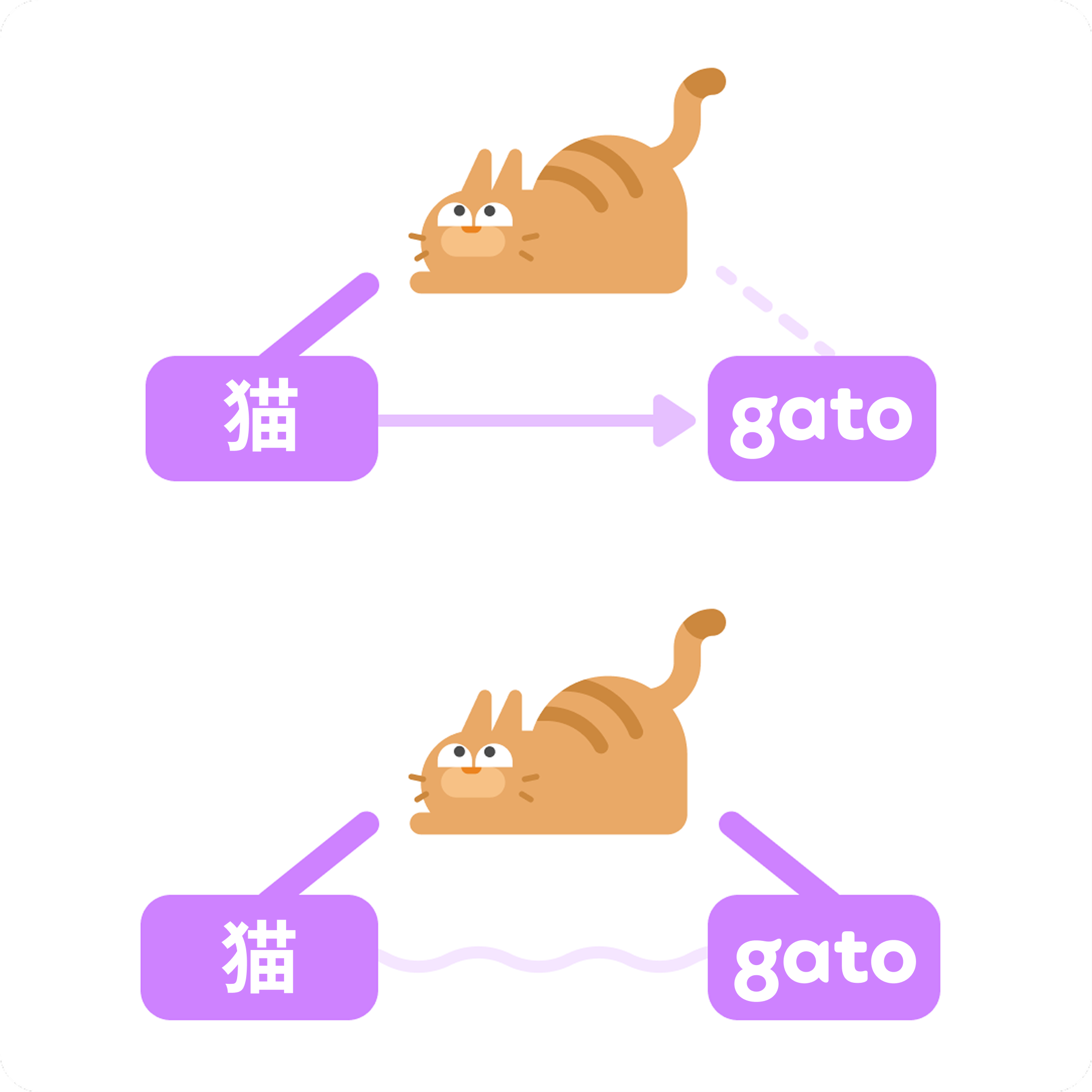 「猫」という単語を例とした、母語と学習中の言語との関係をあらわした図。「猫」はスペイン語で「gato」であるが、日本語話者は初めのうち、「猫」という言葉を思い浮かべ、それを「gato」に翻訳する。スペイン語に習熟するにつれて、猫を見た時に直接「gato」という言葉を思い浮かべられるようになる。