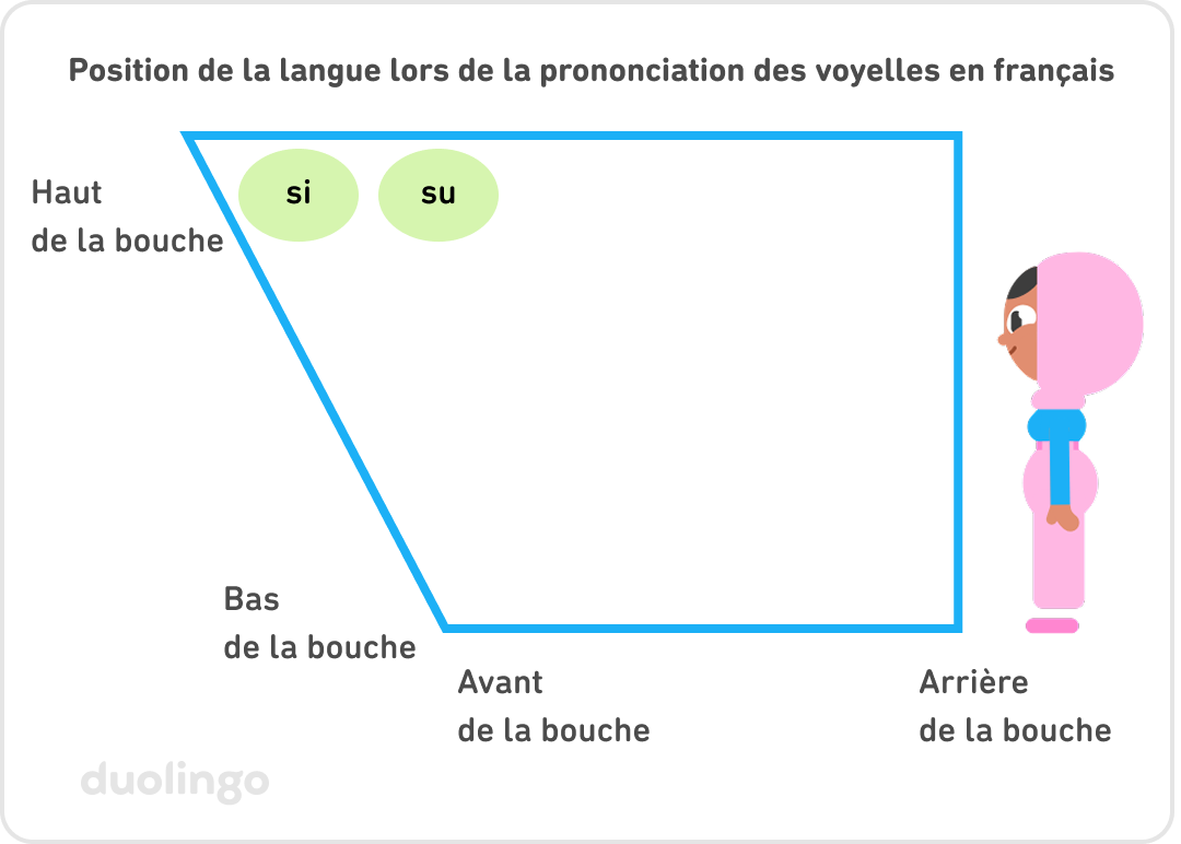 Schéma représentant la position de la langue lors de la prononciation des voyelles en français. Le schéma en forme de trapèze représente une bouche vue de profil : l’avant de la bouche est situé à gauche de l’image, et l’arrière de la bouche à droite de l’image. Zari, le personnage de Duolingo, se tient debout de profil à droite du trapèze. Elle regarde vers la gauche, dans le même sens que celui représenté par le trapèze. On peut voir deux cercles verts en haut à gauche du trapèze qui indiquent « si »  et « su » .