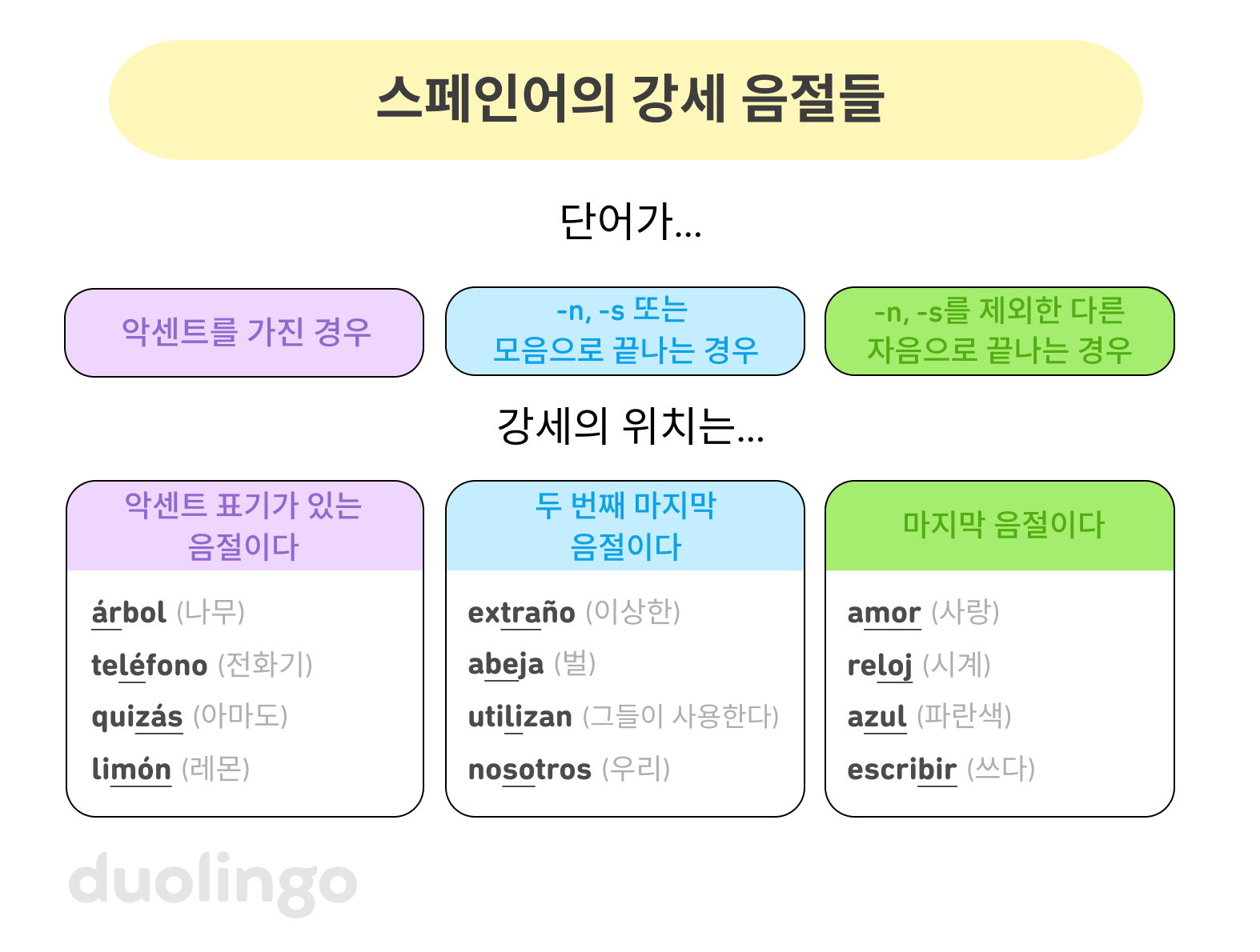 “스페인어의 음절 강세 위치”라는 제목의 표가 있다. 세 개의 칼럼이 나란히 나열되어 있다. 첫 번째 칼럼은 “단어에 악센트가 있는 경우, 악센트가 표시된 음절 위에 강세가 위치한다.”라고 써 있다. 예시 단어들은 다음과 같다: “árbol”(“나무”), “teléfono”(“전화기”), “quizás”(“아마도”), “limón”(“레몬” 또는 “라임”). 각 예시 단어에서 강세 음절에 밑줄이 쳐져 있다. 두 번째 칼럼은 “단어가 -n, -s, 또는 모음으로 끝나는 경우, 강세는 두 번째 마지막 음절에 위치한다”라고 써 있다. 예시 단어들은 다음과 같다: “extraño”(“이상한”), “abeja”(“벌”), “utilizan”(“그들이 사용한다”), “nosotros”(“우리”). 예시 단어에서 강세 음절에 밑줄이 쳐져 있다. 세 번째 칼럼은 “단어가 -n 또는 -s를 제외한 자음으로 끝나는 경우, 강세는 마지막 음절에 위치한다”라고 써 있다. 예시 단어들은 다음과 같다: “amor”(“사랑”), “reloj”(“시계”), “azul”(“파란색”), “escribir”(“쓰다”). 예시 단어에서 강세 음절에 밑줄이 쳐져 있다. 