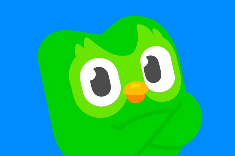 Illustration of Duo the owl with his arms folded, looking happy