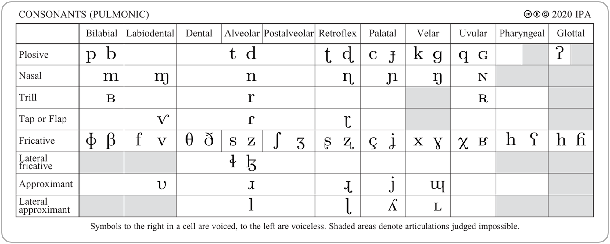 The IPA table of pulmonic consonants