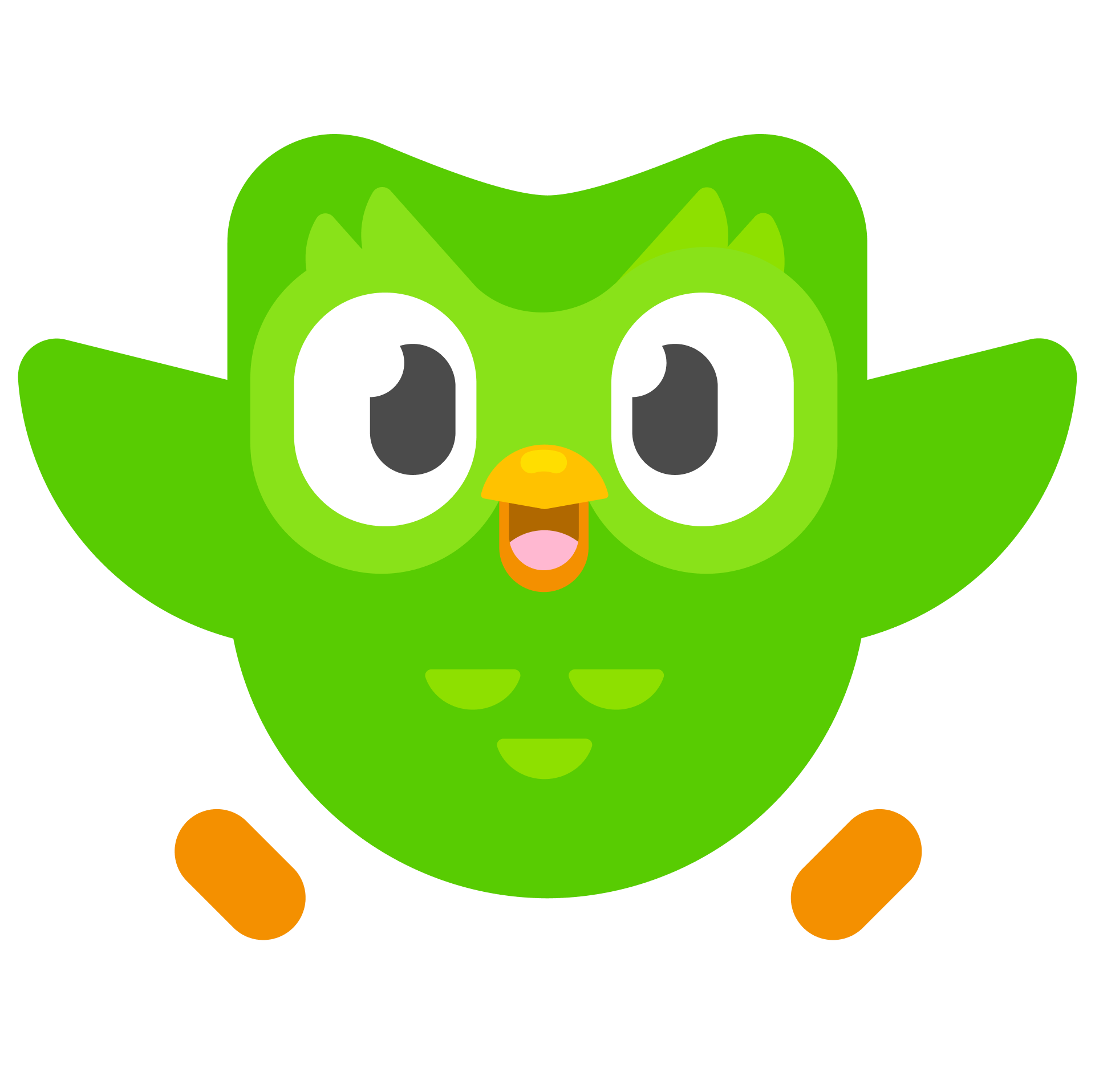 Illustration of Duo the owl with outstretched wings, looking happy