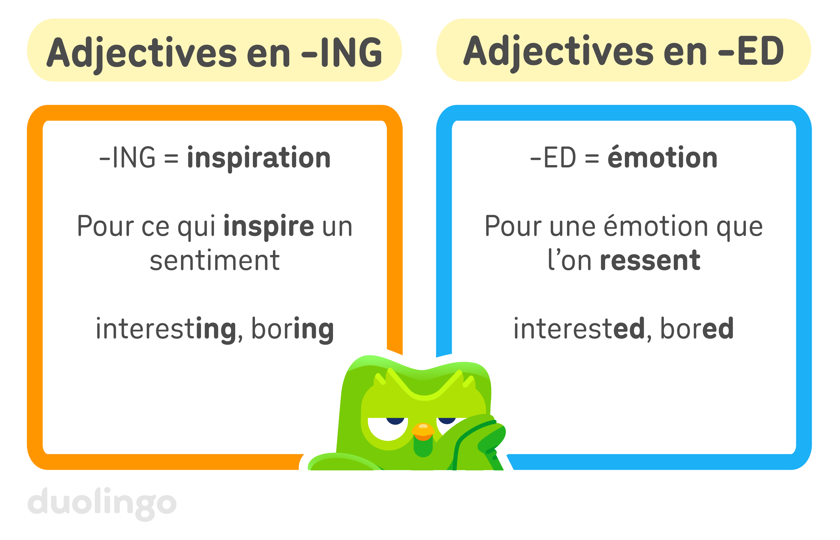 Illustration montrant un bloc orange intitulé « adjectifs en -ING » à gauche et un bloc bleu intitulé « adjectifs en -ED » à droite. Les adjectifs en -ING évoquent l’inspiration. Ils s'appliquent à ce qui inspire un sentiment, comme les adjectifs « interesting » et « boring ». Les adjectifs en -ED évoquent l’émotion. Ils s’appliquent aux émotions que l’on ressent, comme les adjectifs « interested » et « bored ». Entre les deux images se tient Duo le hibou, qui a l'air de beaucoup s’ennuyer.
