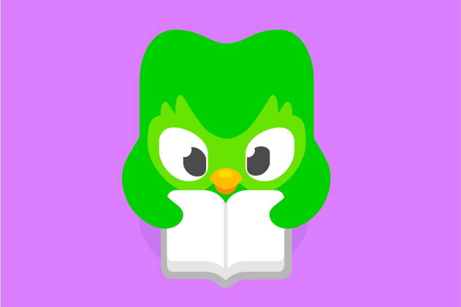 Ilustração do Duo olhando para o livro que segura com as asas.