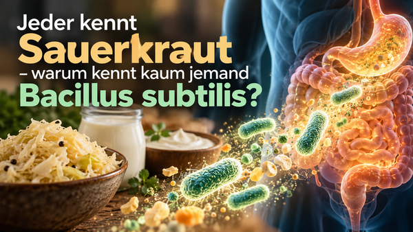 Jeder kennt Sauerkraut – warum kennt kaum jemand Bacillus subtilis?