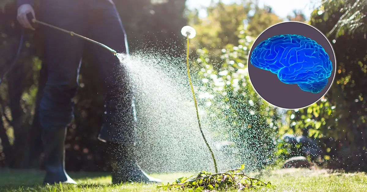 A ameaça oculta do glifosato à saúde do seu cérebro