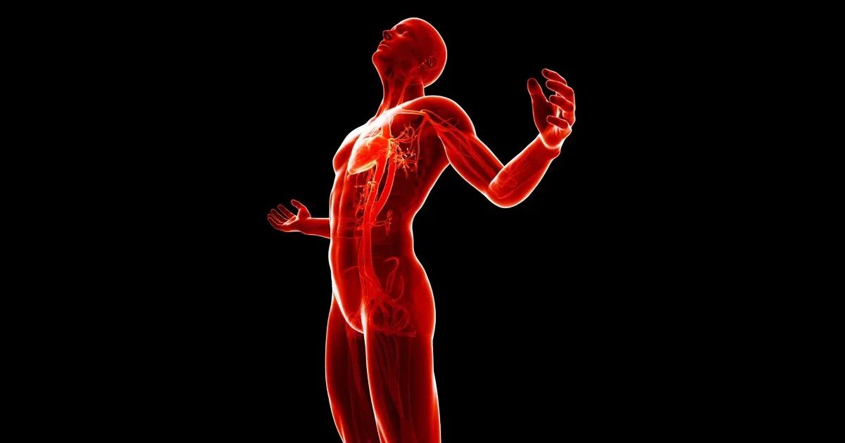 Como o relógio interno do seu corpo influencia a inflamação