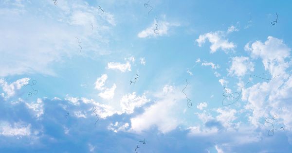 O que causa moscas volantes e elas são perigosas?