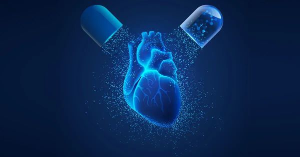 Qual a importância da vitamina K2 para a saúde vascular?
